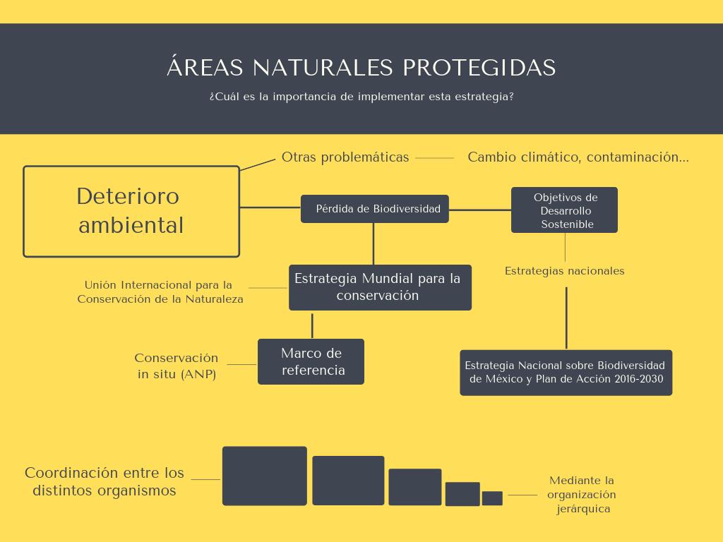 AnaLexx27's tweet photo. Una ANP no significa "encerrar bajo llave" todo aquello dentro del sitio, esto sería egoísta y contrario a lo que se pretende. Aquí se pueden llevar a cabo actividades de desarrollo para asegurar y conservar la vida presente y futura #ANP @ElmoreGuevara https://t.co/jh1o8zm5Gg