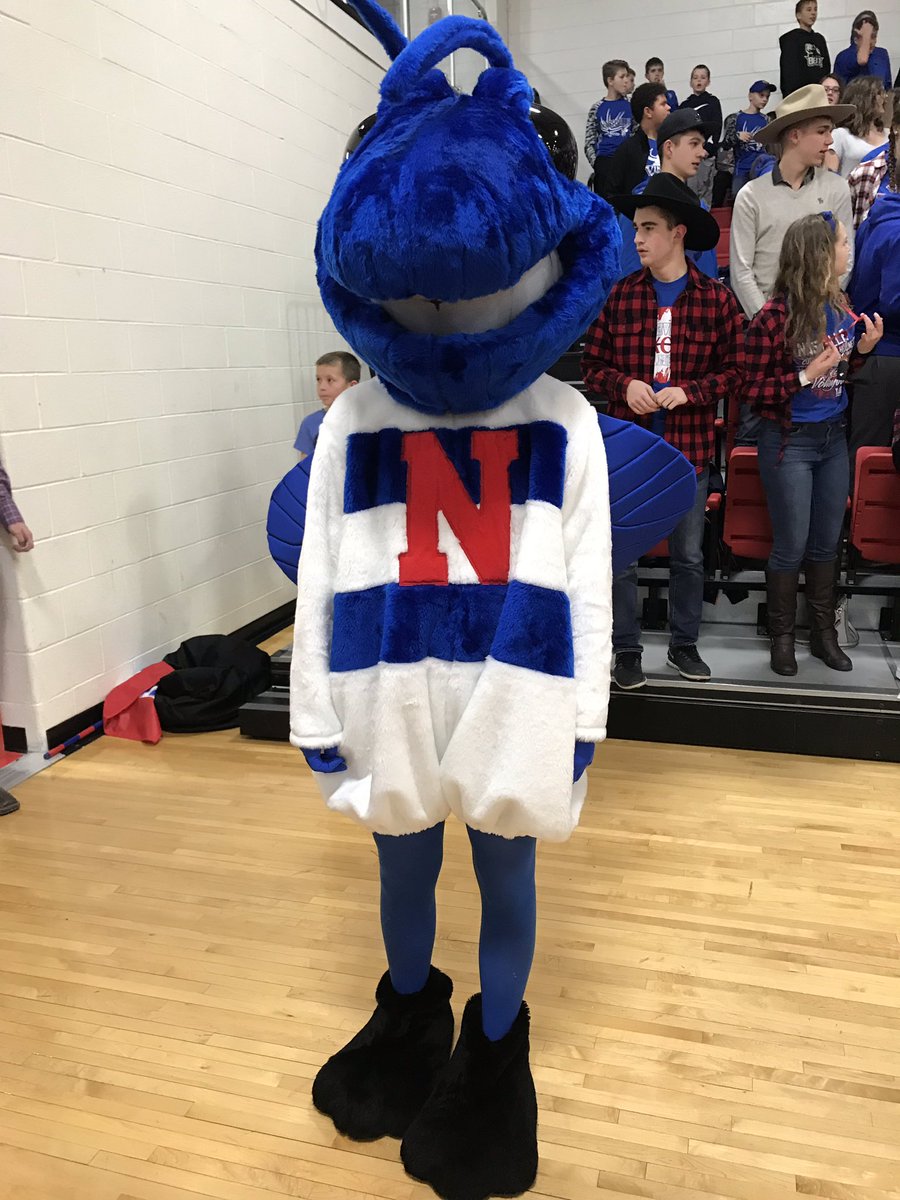 NCHSAthleticsAD's tweet image. A big win tonight in HORNET COUNTRY! #1fans #hornet #cheer