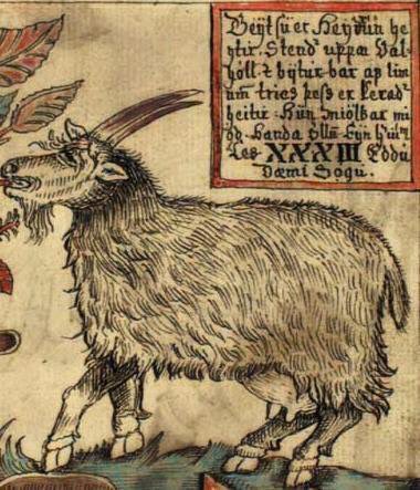 Ratatosk4's tweet photo. @sm9eb “Pan? Pan is only half-goat! For full goat power in #2019MMM, you’ll be wanting Heiðrún the #NorseGoatGoddess and Her #MagicGoatsMead!” Thus spake the #NorseSquirrelGod. https://t.co/OTbQ7vmOkG