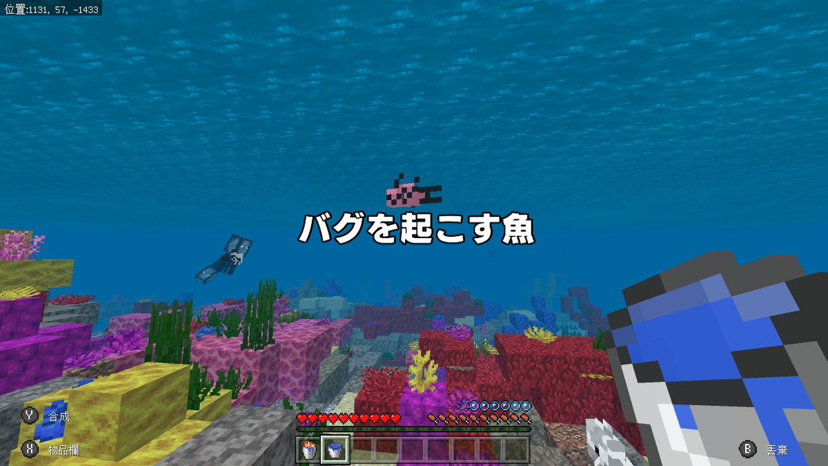 チヌ 最古のアカウント Minecraft マイクラ マインクラフト Nintendoswitch この魚をバケツ に入れない方がいいです もしもバケツに入れると チェストに入れることも捨てることも出来なくなってしまいます しかも逃がすことも出来ません T