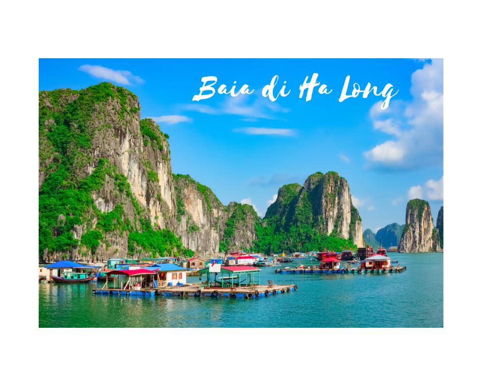 ☀️TOP 4 MIGLIORI SPIAGGIE IN VIETNAM🌊
❤️La baia di Ha Long
❤️La spiaggia di Mui Ne
❤️Nha Trang
❤️Da Nang

#VietNamSummit  #spiaggia #halong #halongbay