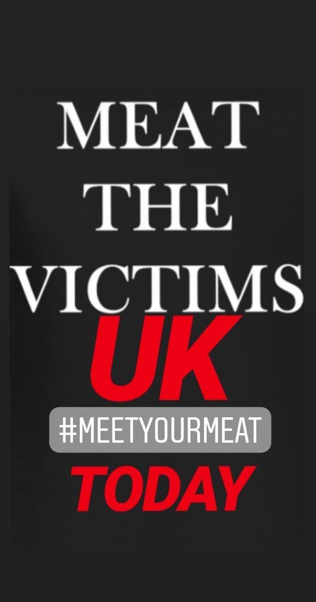 Something big is happening today...we hear you, we see you, we feel you, we're trying. 
#meatthevictims
#meetyourmeat