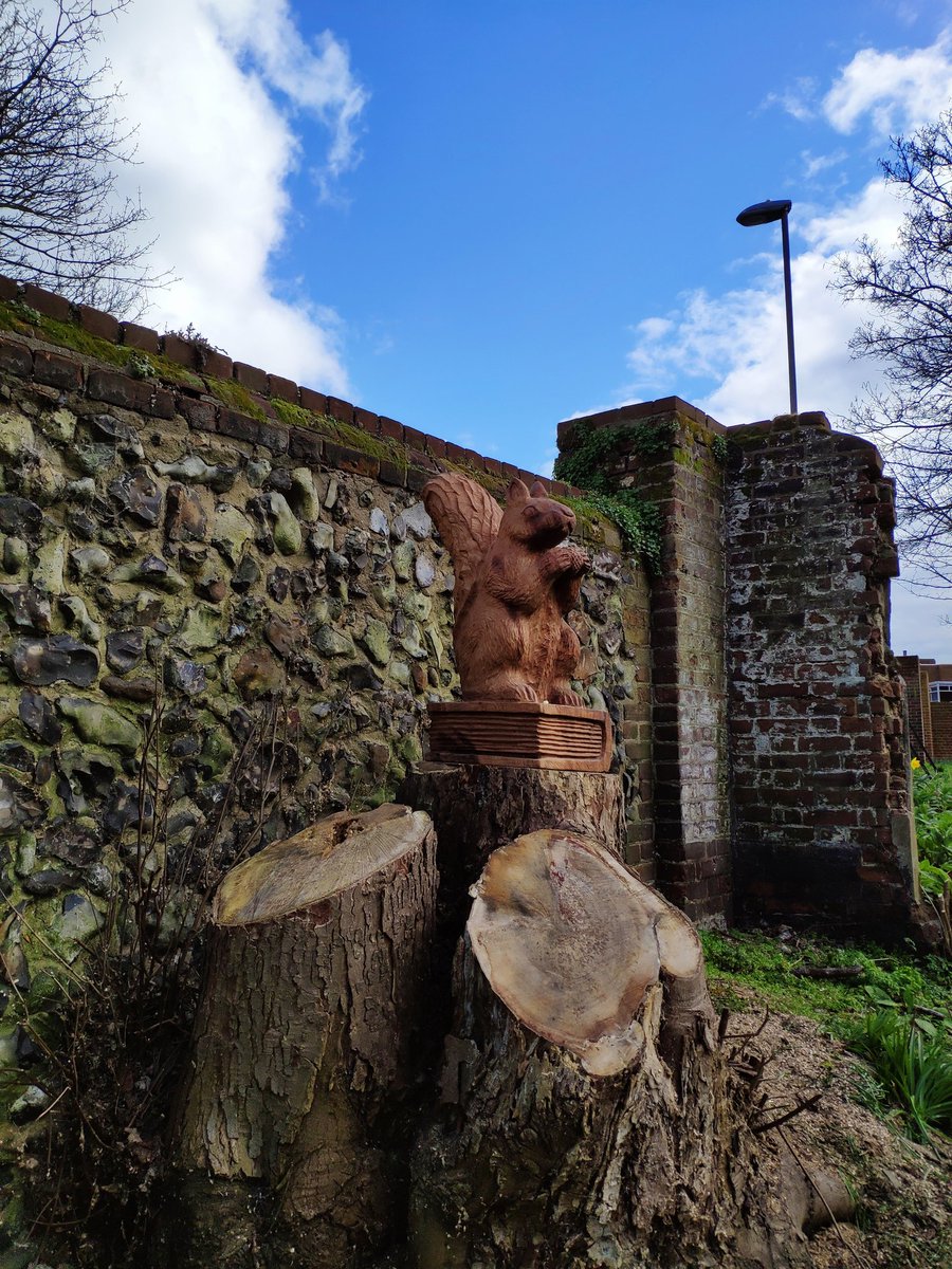 OldLibraryWood's tweet image. If you go down in the woods today
 You're sure of a big surprise!
#Norwich #Norfolkhour #lovewhereyoulive #oldlibrarywood