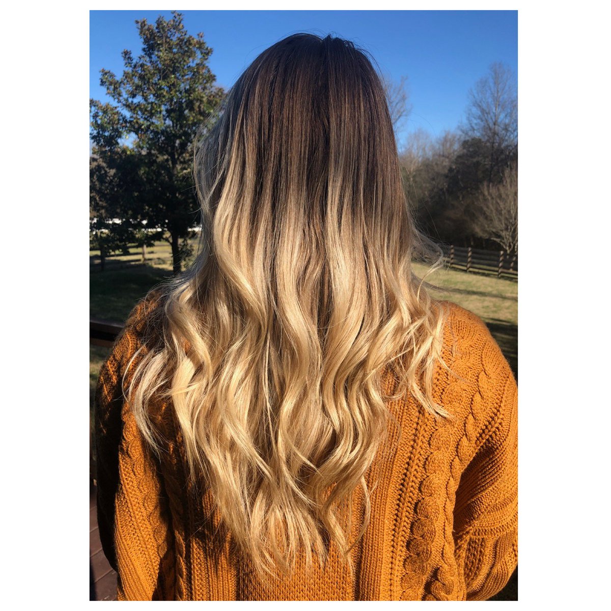 carleyshae123's tweet photo. Before+After Loved adding the blonde back on his beauty! Beautiful blend 💇🏼‍♀️
•
•
#HairByCarley #MoreheadCity #framesi #framesicolor https://t.co/Yy8mH73fC9