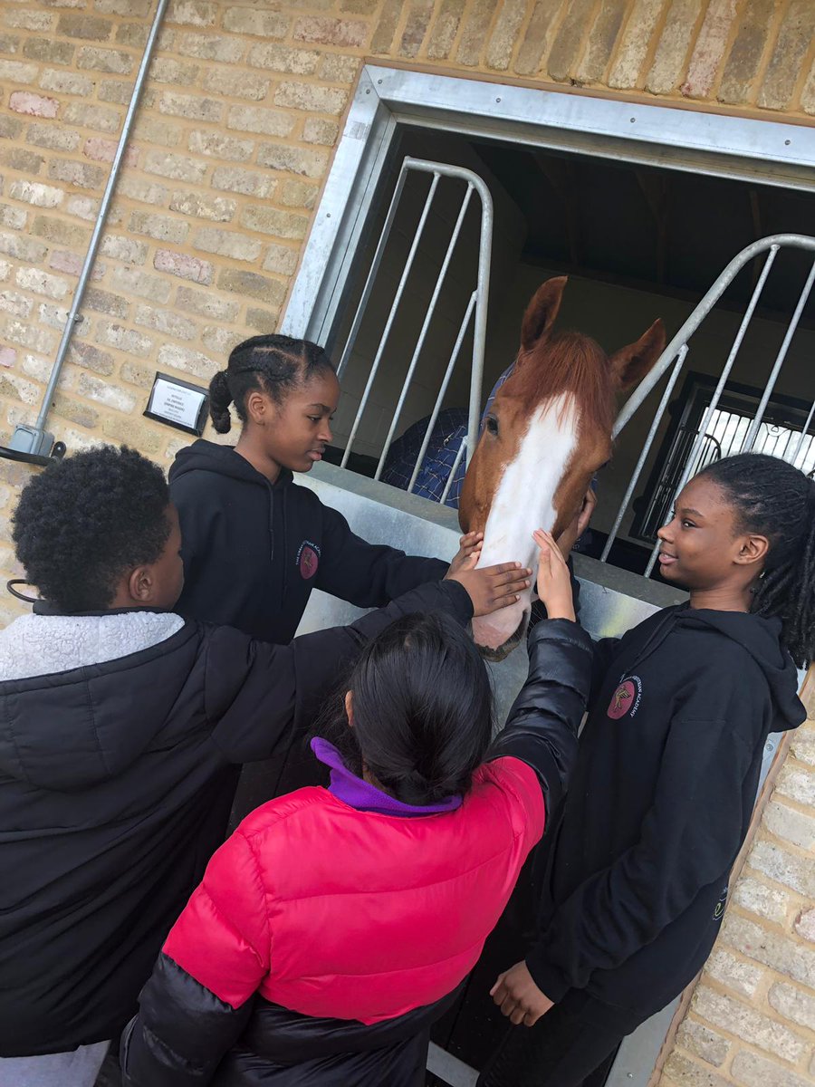 TheUrbanEquest's tweet photo. Remember you can get even closer to us by following our Instagram and FB pages, all SM handles @TheUrbanEquest #UrbanRiderz#Diversity#SocialInclusion#Hood2Horses#Horses2FaHood#ChangingTheNarrative @ThePonyClub @CityMayorLeic @CrowdFundLeic @gbponyracing @drlanigan @BRSNewmarket https://t.co/QO7I676ByB