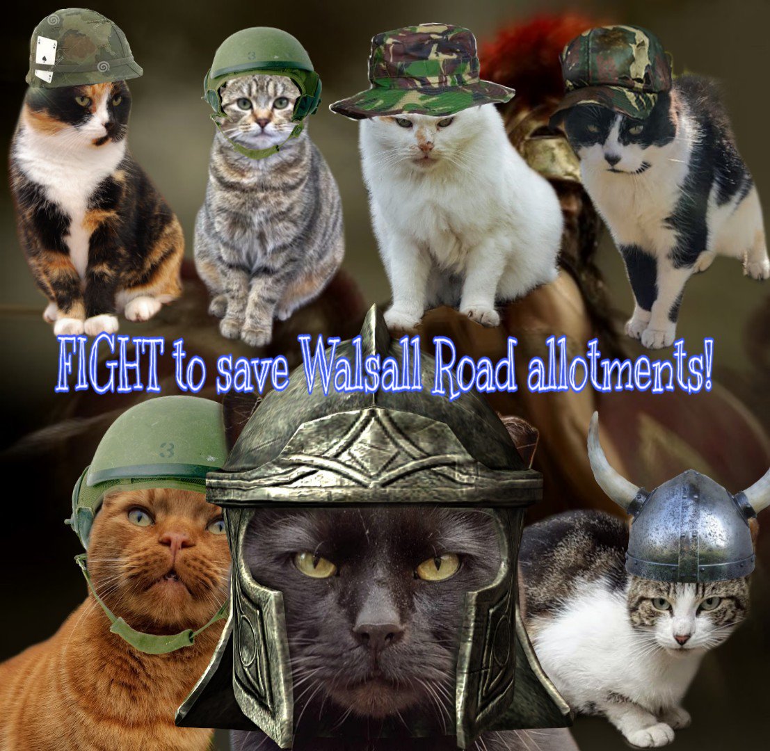 Robert Allotment cat,now helped by Janet & Amanda (@allotmentcat) on Twitter photo Thank you <a href="/JoeyJoyful/">Joyful Joey</a> for making this. I look very serious but Red Fred is wondering what on earth is going on? My human says it is getting the message across that our allotments are worth fighting for. #saverobertsallotment Thank you <a href="/JoeyJoyful/">Joyful Joey</a> for making this. I look very serious but Red Fred is wondering what on earth is going on? My human says it is getting the message across that our allotments are worth fighting for. #saverobertsallotment