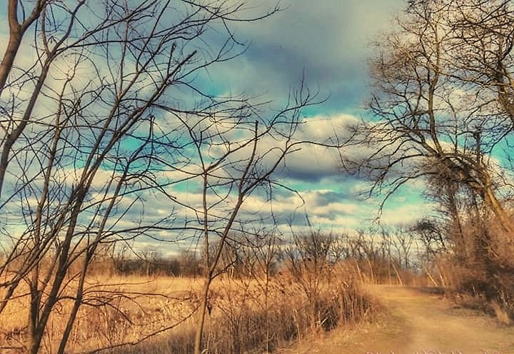 Exodus33_18's tweet photo. @AmericasKeswick 
"For we walk by faith, not by sight"
2 Corinthians 5:7
#americaskeswick #photography #christianphotography https://t.co/eVM7mb2t1a