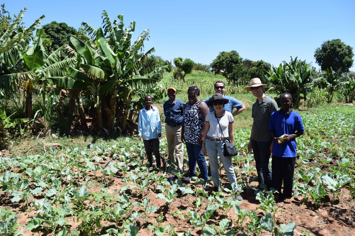 millersocent's tweet photo. Our team in Africa visited #GSBI alum @OjayGreene, a #socent that increases the income of smallholder farmers by linking them to profitable urban markets 🌱 💰 💪 Help our work with social enterprises on March 7 : https://t.co/lSTLjrf4Y2 #allinforSCU https://t.co/VR9vg6nCzs