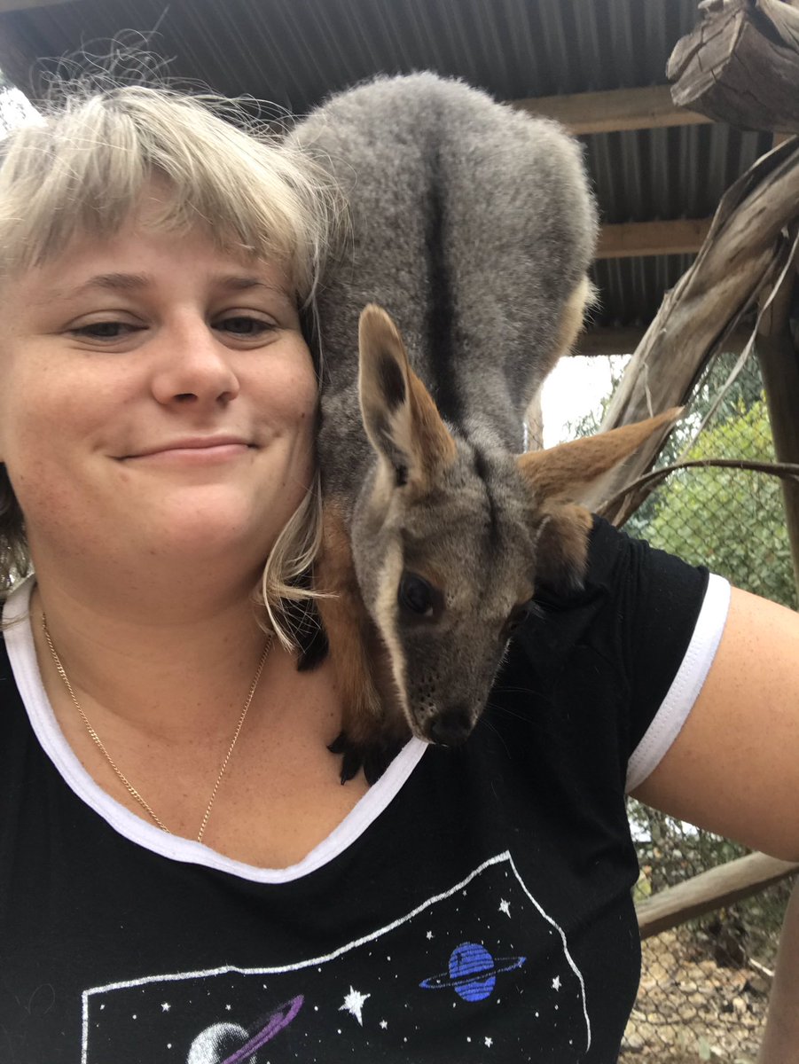 Dwarnisaurs's tweet photo. Had the Amazing opportunity to be mama to two #wallabies 😍
#yellowfootedrockwallaby #marsupials #baby #animalsanonymous https://t.co/FeHJFUGrGl