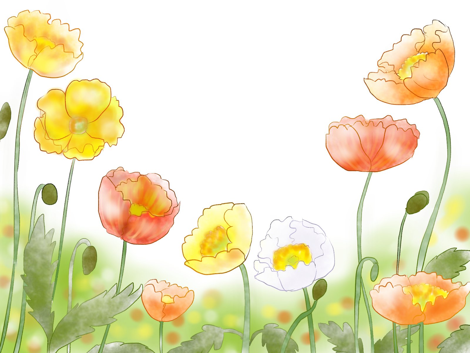 愛ちん ゆめみ愛 イラストacさん投稿の３月２日の誕生花 アイスランドポピー です 無料なので良かったらどうぞです T Co Ylut4tnqci 正式名はシベリアヒナゲシですが 英名のアイスランドポピーが定着し ほとんど使われることは