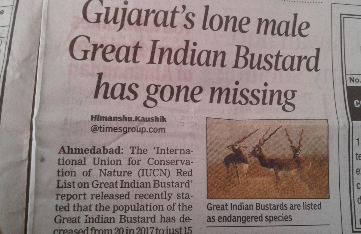 Indian journalists on the environment beat. Clueless that the Great Indian Bustard is a bird #indianmedia