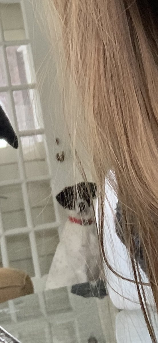 Smileyklare97's tweet photo. When you find out you’re not the favorite child: https://t.co/lxtoeaLY3t
