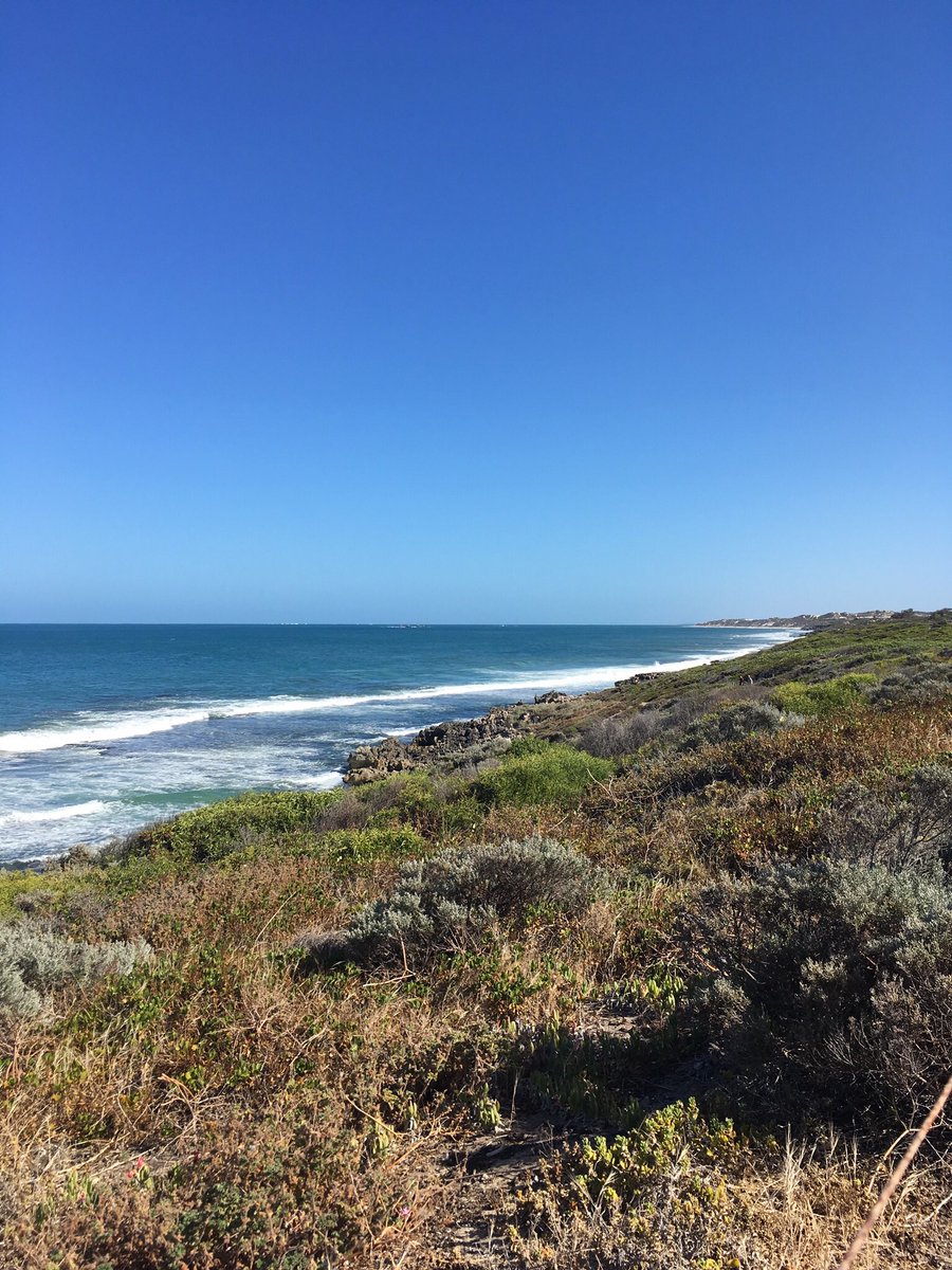 We do love to be beside the sea side in our “magic” shirts. Perth West Australia Peakers doing it tough again in miserable weather..😉 8kms walk and talk, and coffee of course! <a href="/auspeakers/">AussiePeakers</a> <a href="/MyPeakChallenge/">My Peak Challenge</a>