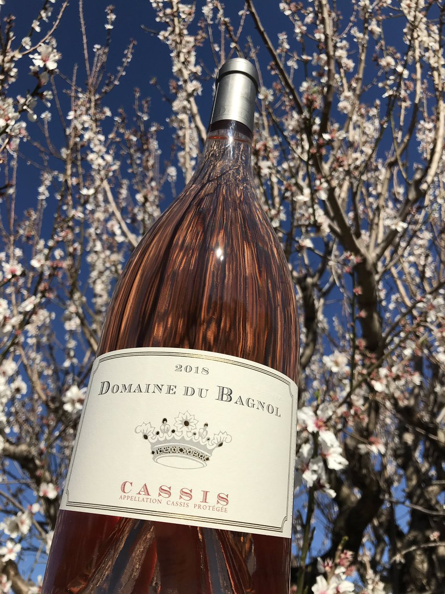 GenovesiLisa's tweet photo. Bon week-end ! #cassis #vindecassis #domainedubagnol #vinbio #organicwine #winemoment #instavin #instawine #vinrose #rosewine #roseallday https://t.co/XLVZJnEEfI