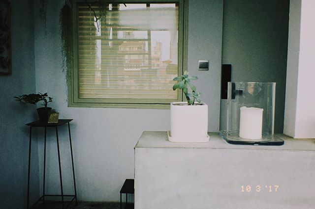 dazzcamera's tweet photo. Shoot with Dazz Camera iOS

#dazzcamera #dazz #photography #photooftheday #shotoniphone #likeforlikes #filmphotography #grainisgood #35mm #filmsimulation #cameraapp https://t.co/3IRW5y06bc https://t.co/DfSALnMwEy
