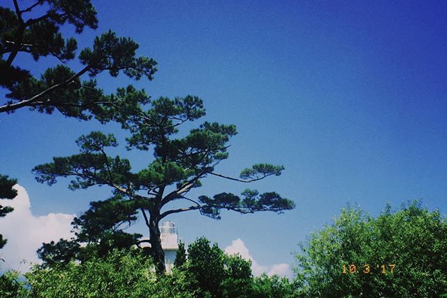 dazzcamera's tweet photo. Shoot with Dazz Camera iOS

#dazzcamera #dazz #photography #photooftheday #shotoniphone #likeforlikes #filmphotography #grainisgood #35mm #filmsimulation #cameraapp https://t.co/oGSwiaLEXf https://t.co/UgkjNTxo58