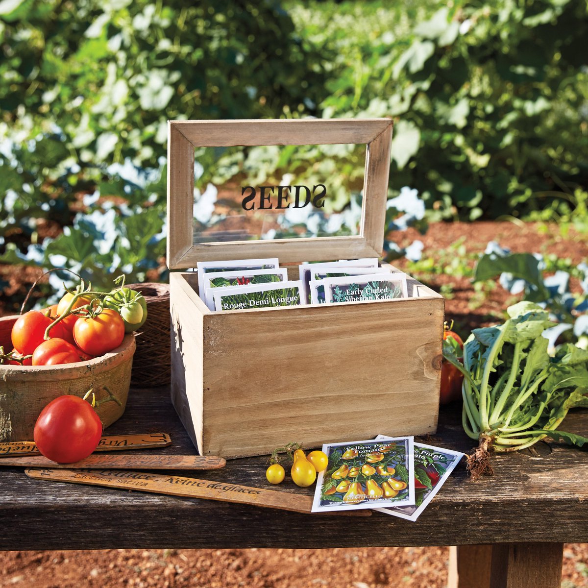 TJMonticello's tweet photo. Want to plant some of the same flowers, vegetables, &amp; herbs grown in Thomas Jefferson's garden? Check out our heirloom seed collection, and take advantage of FREE SHIPPING on all heirloom seeds, March 1 - 31.

Start planting history in your garden: https://t.co/iIQPakTpxE https://t.co/j4qMzCRNbY