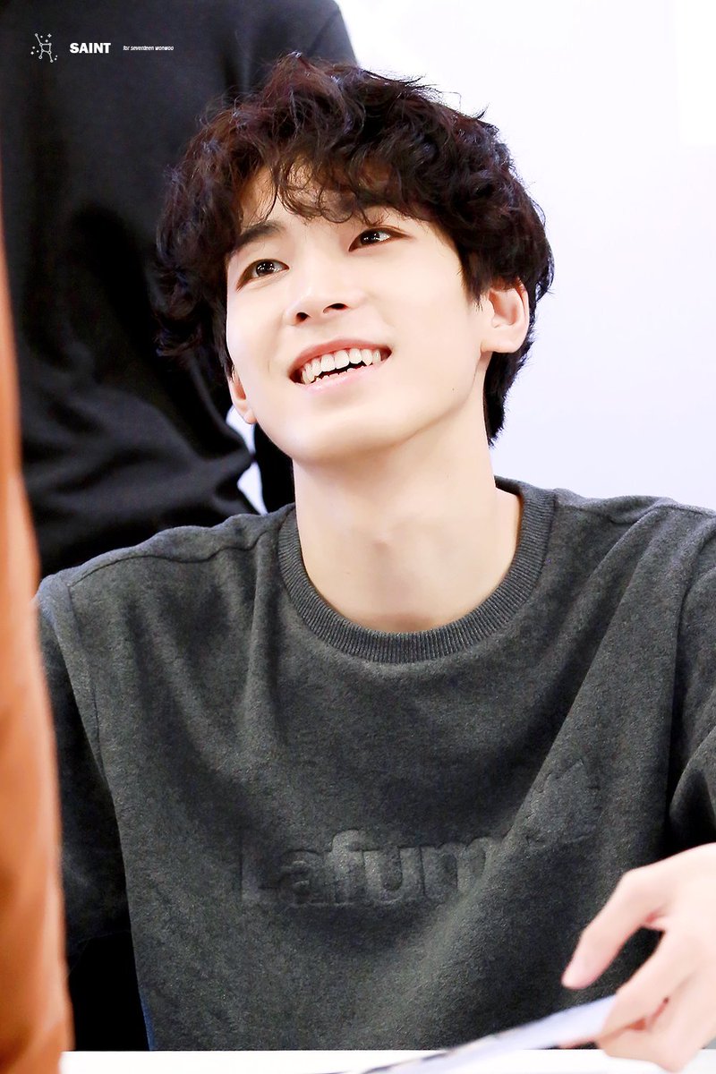 am i the only one who misses wonwoo's permed hair  #SoompiAwards  #TwitterBestFandom  #TeamSeventeen  @pledis_17 . src: saint_ww