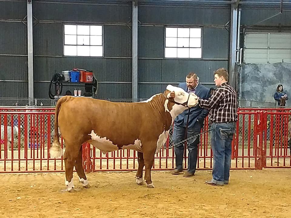 gcffafriends's tweet photo. Reserve Grand Champion Steer - That’s a great way to close out your senior year showing season!  Congrats to @briscoejon63 we can’t wait to see the amazing thing you accomplish! @gcffareporter @GCISD https://t.co/xlQtR78knY