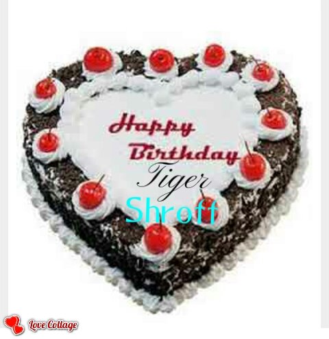  Happy Birthday Dear My Brother Tiger Shroff 