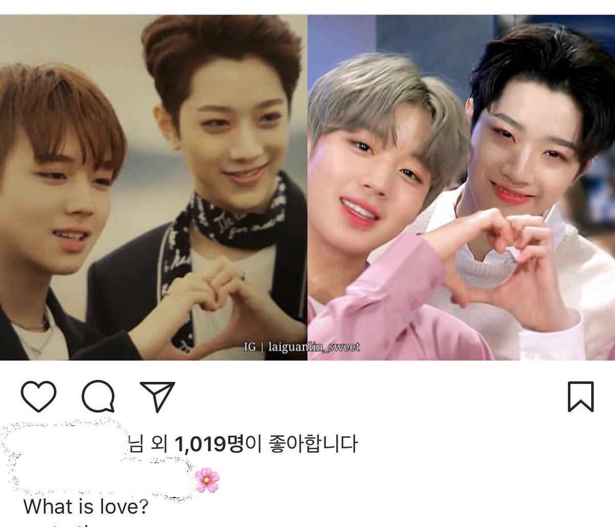 비체 tweet media