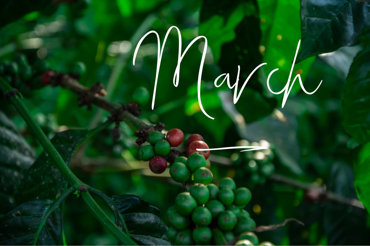 FarmhouseMartha's tweet photo. When will we see you @farmhousemartha https://t.co/CJkhCCqawo