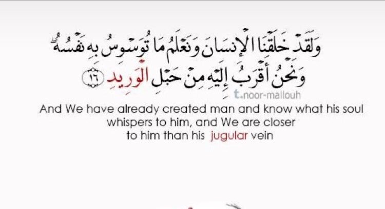 HM24895's tweet image. 