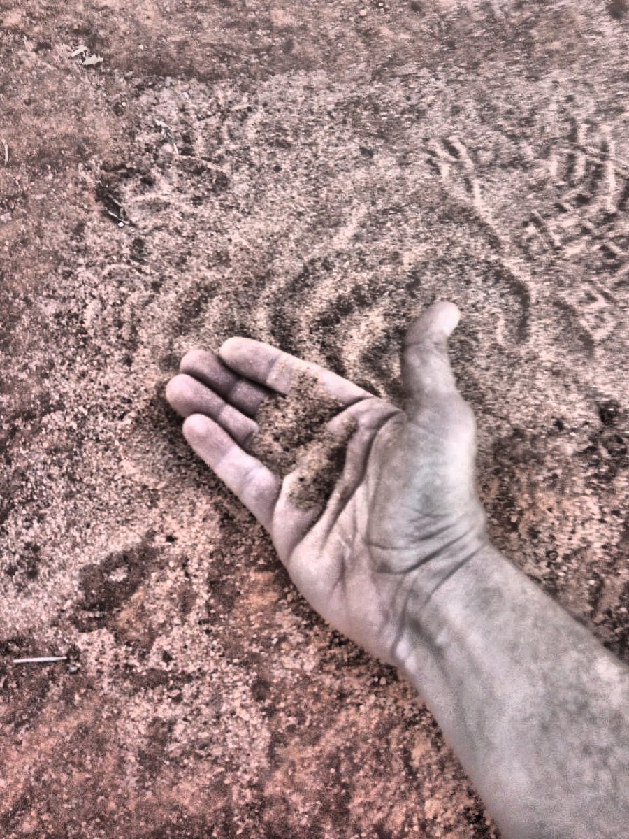 Sos2012Survival's tweet photo. Into the A.F.R.I.C.A. 2019 Tribe experience:
La sabbia della savana africa.
#sos2012 #survivalschool #sopravvivenza #survival #africa #savana https://t.co/CLlUtXgPi1
