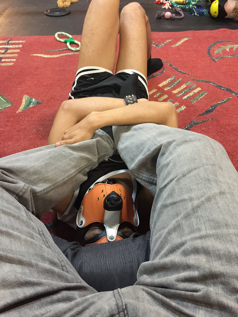 Ision11's tweet photo. @cometpupz being clingy :D
#pup #pupandhandler #humanpup #pupplay #gay #kink https://t.co/d49A9vY8yw