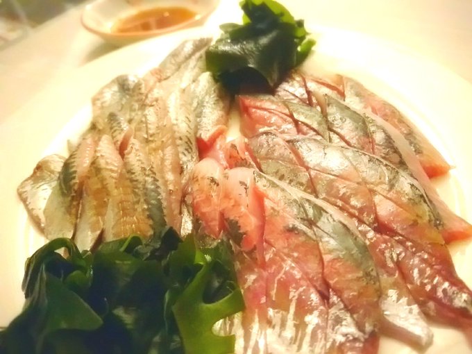 青魚のtwitterイラスト検索結果