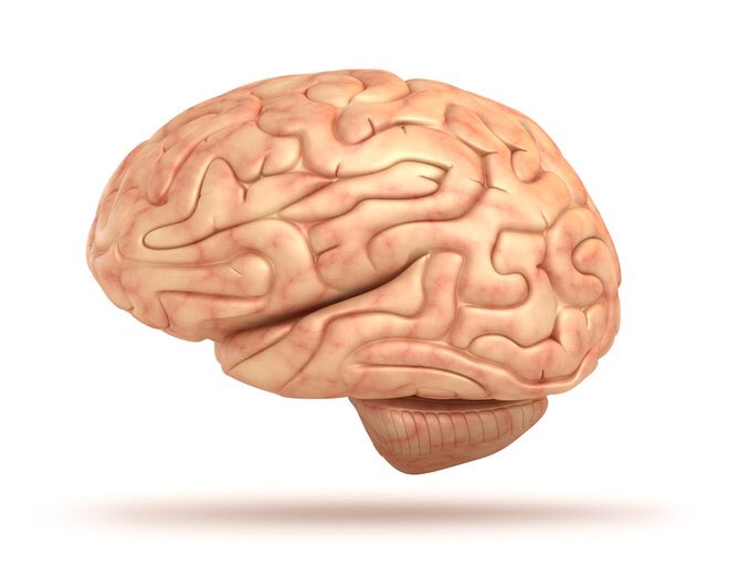 Two great posts on Cognitive Load Theory this week from the <a href="/DurringResearch/">Durrington Research School</a> team.

CLT and what it means for teachers from <a href="/atharby/">Andy Tharby</a> 
researchschool.org.uk/durrington/blo… 

CLT What to do from <a href="/chris_runeckles/">Chris Runeckles</a> 
classteaching.wordpress.com/2019/02/27/cog…