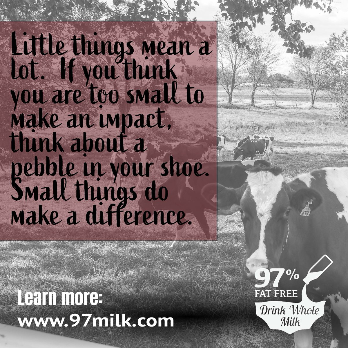 97milk1's tweet photo. #97Milk #DrinkWholeMilk https://t.co/fLgJJVKH1g