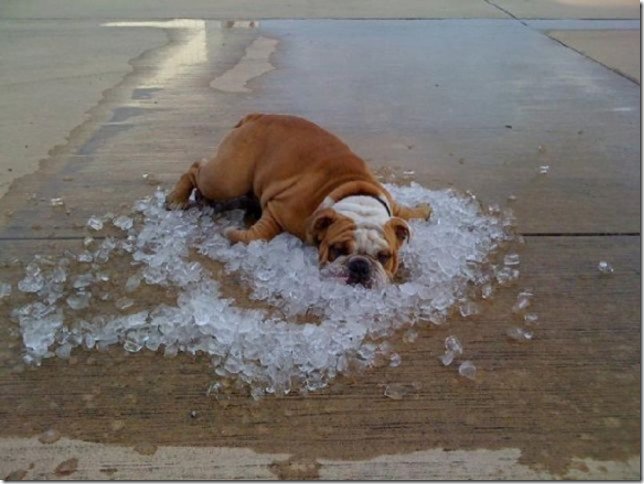 SA_SES's tweet photo. With another hot night on the way before the cooler change comes through, think about ways to stay cool as you prepare for sleep tonight
Keep your fan and aircon running
Wear light clothing
Have water beside your bed 
Open your curtains &amp; windows after the cool change 
Read Less https://t.co/TZhmseSWkG