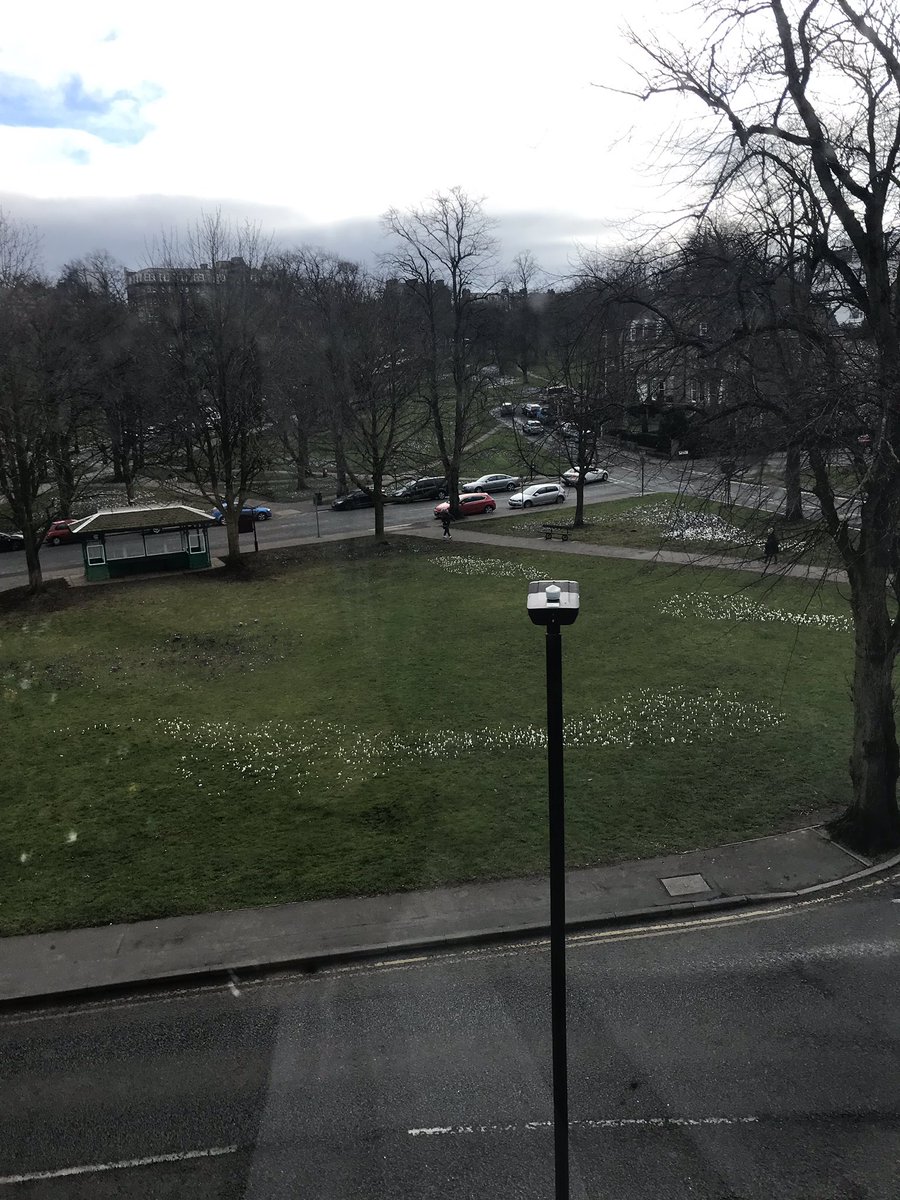 Alison Dean tweet media