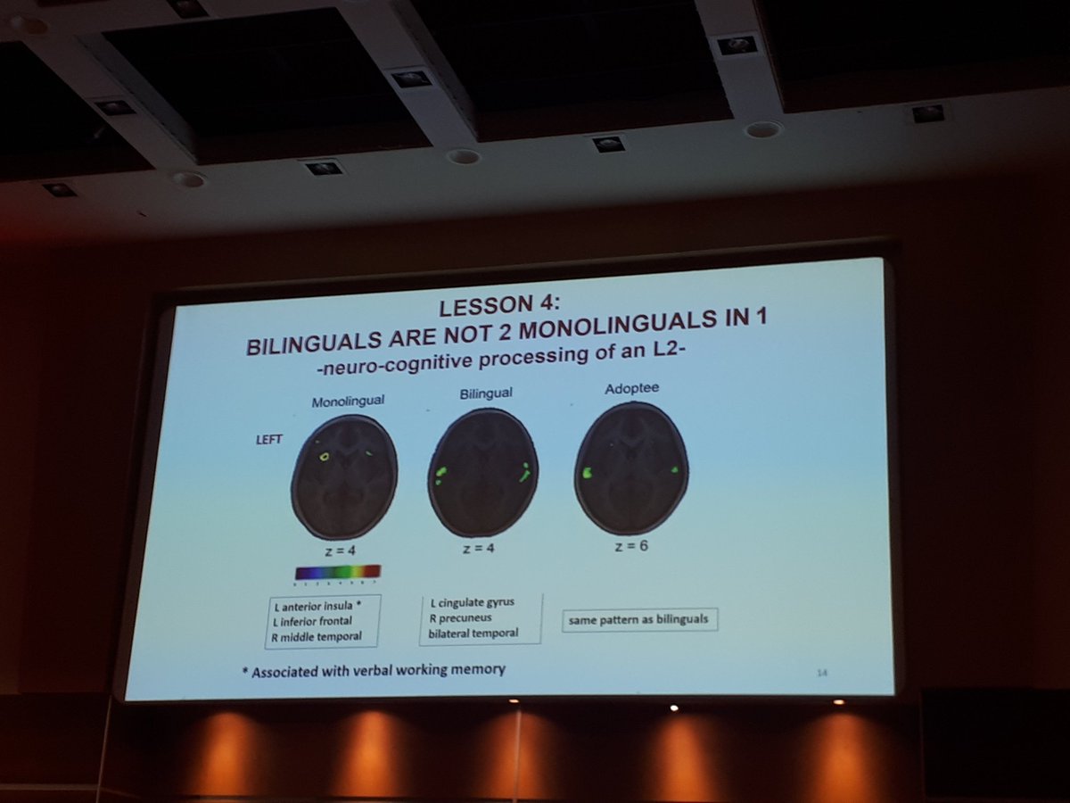 JessicaJmunting's tweet photo. "Bilinguals are not 2 monolinguals in 1. Bilingual learners activate parts of their brain that monolinguals don't"  #ECISMLIE19 #eal #learningaboutmyself #medandedcollision https://t.co/8eAlQNPaMz