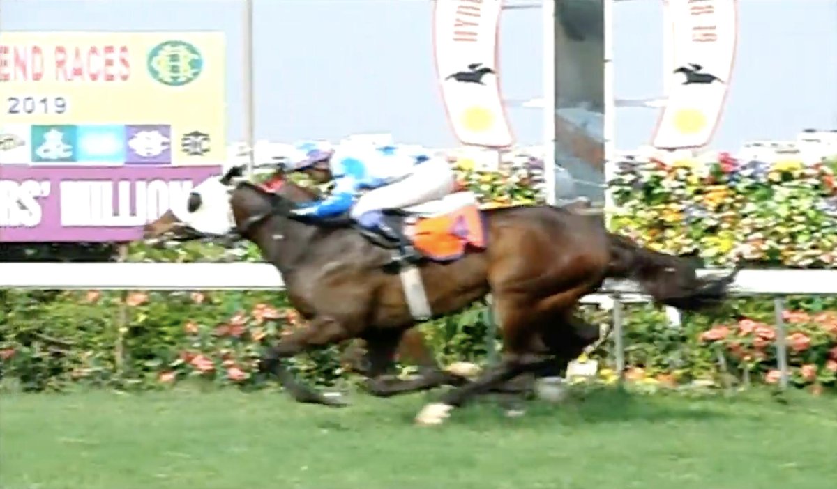 RaceMirror's tweet photo. Invitation Weekend Hyderabad Day 1:

Race 6: The J &amp; T Developers Million

Winner: BRAINSTORM [Dream Ahead-Roof Fiddle]
Jockey: Suraj Narredu
Trainer: Pesi Shroff
.
.
#Brainstorm #SurajNarredu #PShroff 
#InvitationWeekend #JTDevelopersMillion @Surajsn1  @rwitcmumbai https://t.co/xg88rC871q