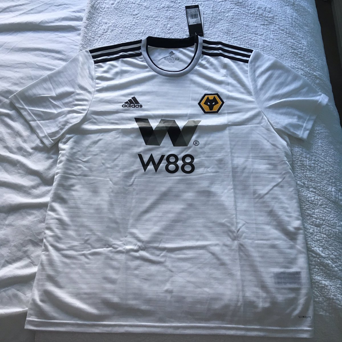 ash_birch's tweet image. Thank you @TalkingWolves for the free shirt giveaway!
Hopefully will bring us some luck today vs Cardiff.
Keep up the good work on the channel! 👍 🐺 #WWFC #TalkingWolves