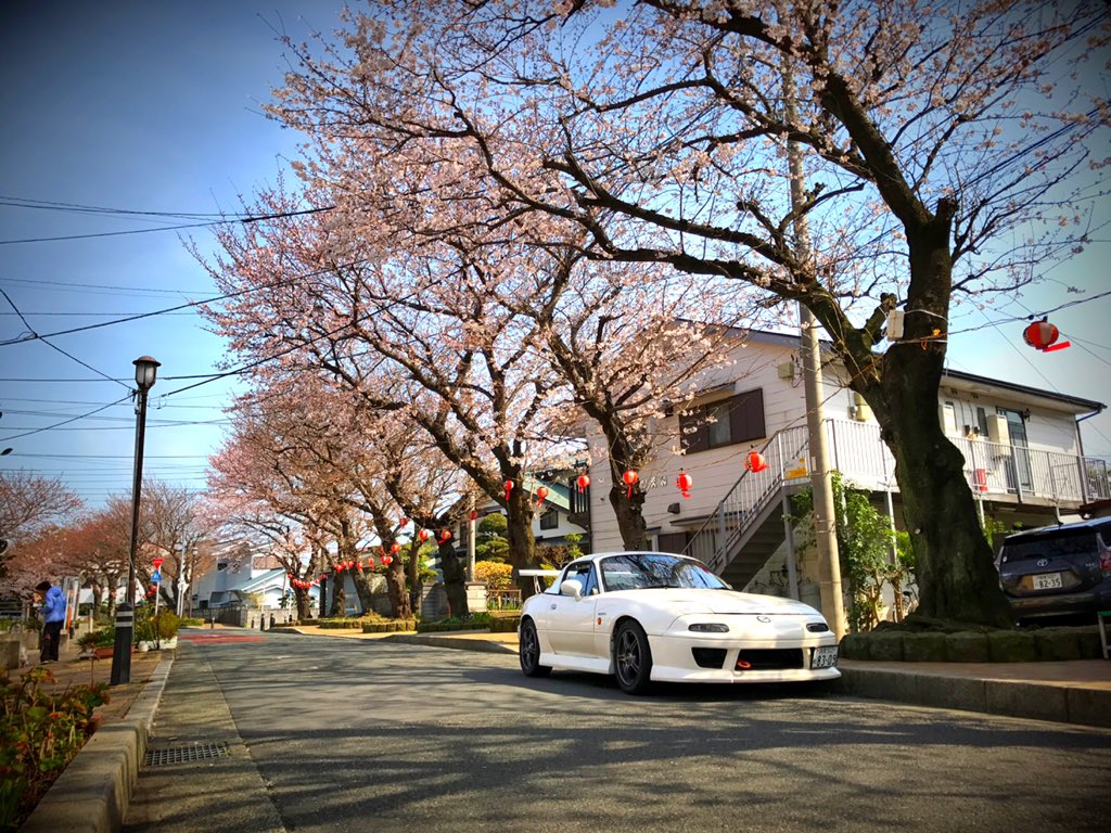 SeaSound_dc5's tweet photo. #FAMSPEED 
そういえばもう時期FAM SPEED前の桜並木が見頃になりますよ！！！🌸

元愛車と今の愛車(去年) https://t.co/ahfULu2bRx