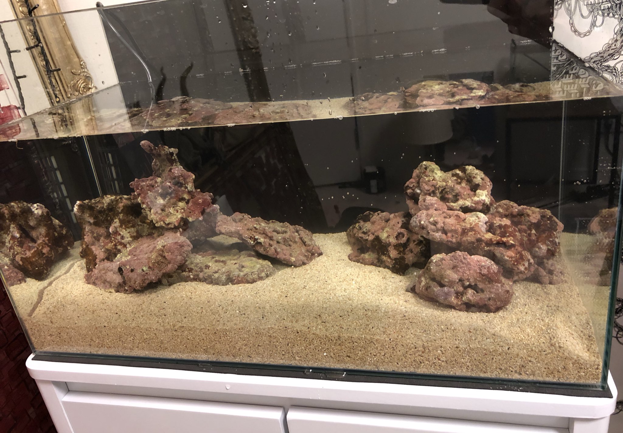 にゃん 海水水槽立ち上げ 水槽洗います 砂入れます 海水入れます ライブロック入れます マリンアクアリウム ヤドカリ T Co Yghft4lury Twitter