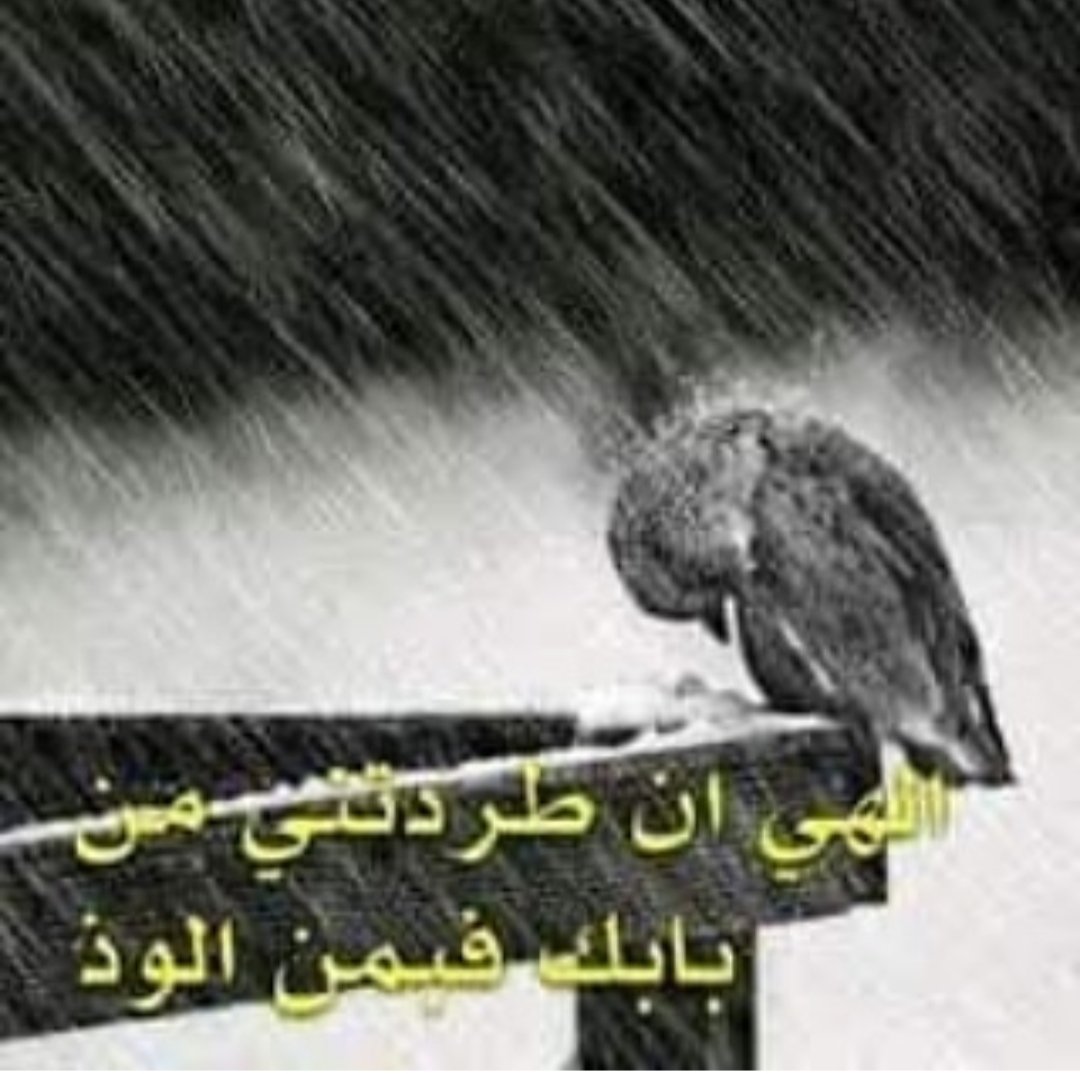 عاشقة ال الصدر (@isdrmrjs) on Twitter photo 