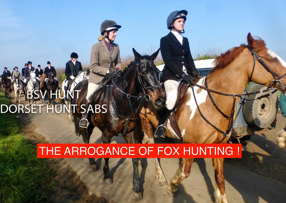 dorsethuntsabs's tweet image. The arrogant thugs of the Blackmore and Sparkford Vale Hunt yet again allow their hounds to desecrate a graveyard, revealing their utter contempt for the law and rural communities. When will the police finally act?
network23.org/dorsethuntsabs…