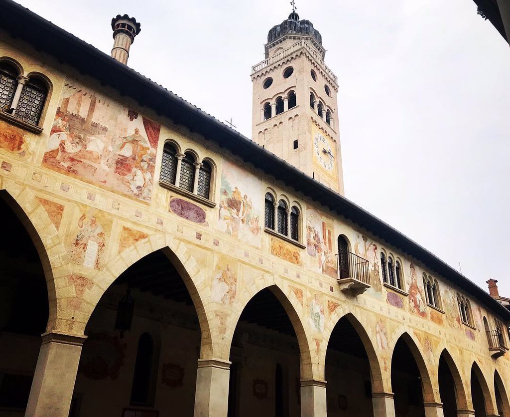 FraRodella's tweet image. #conegliano #booktour #lamemoriadellacenere @chiaramarchell1 @nneditore ❣️