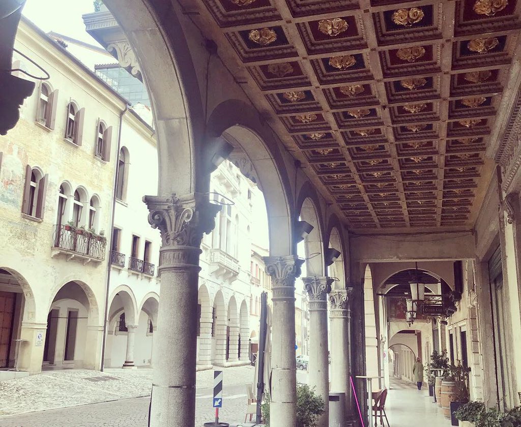 FraRodella's tweet image. #conegliano #booktour #lamemoriadellacenere @chiaramarchell1 @nneditore ❣️