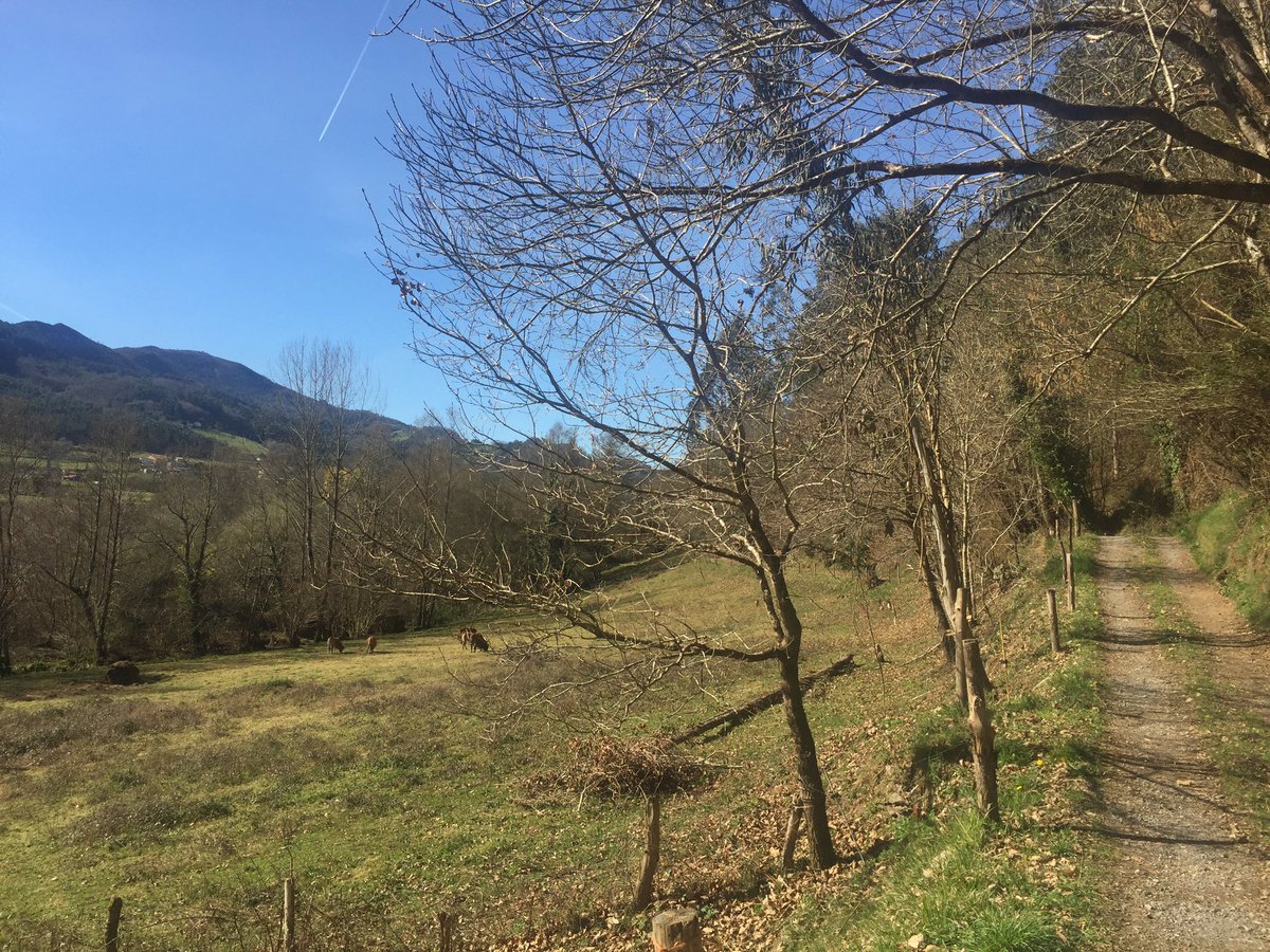 VALLEDEARANGO's tweet photo. Espectacular mañana de sábado en #valledearango @eltiempotpa @aquilatierratve #BajoNalon #Pravia #arango https://t.co/fTjArDaqtv