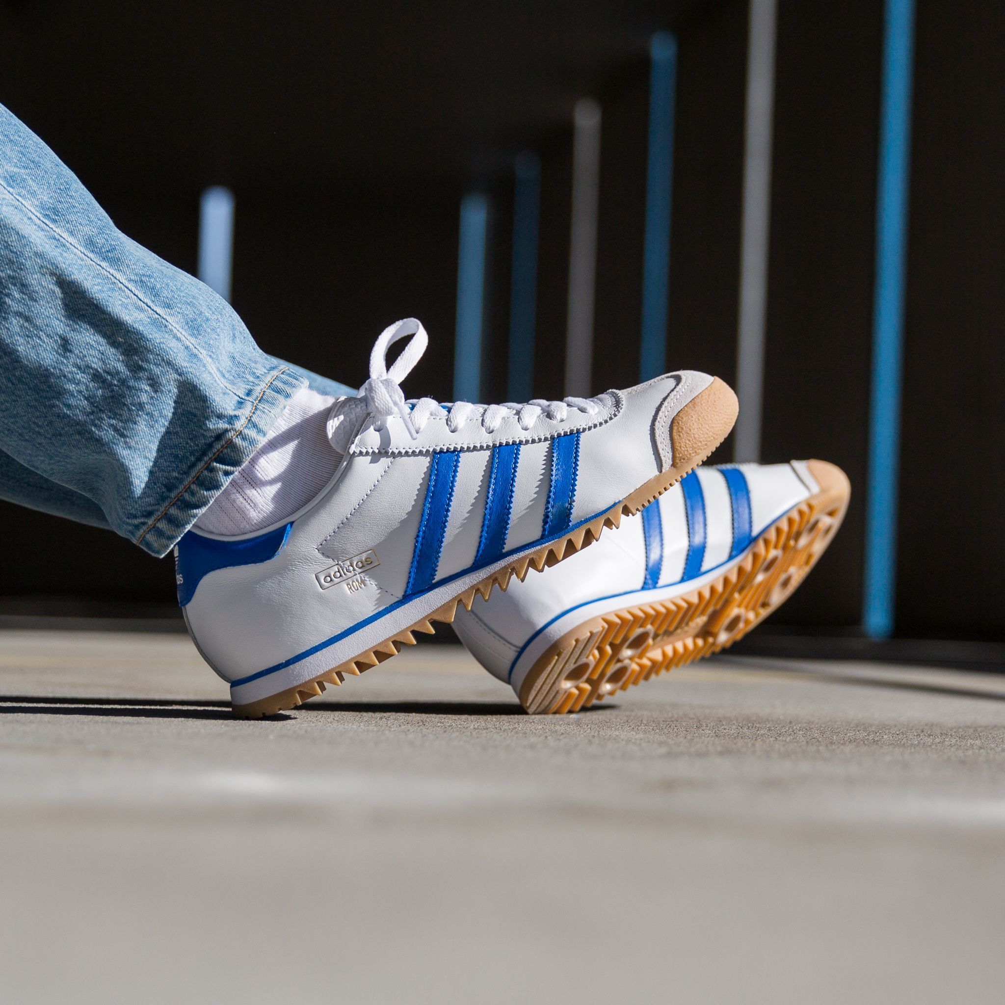 Titolo on Twitter: "OUT NOW 🔥 Adidas Rom ⚪️🔵 Here ➡️  https://t.co/Hos61u5oKD #adidas #adidasrom #rom #adidasoriginals  https://t.co/jDL2sQ9qjG" / Twitter