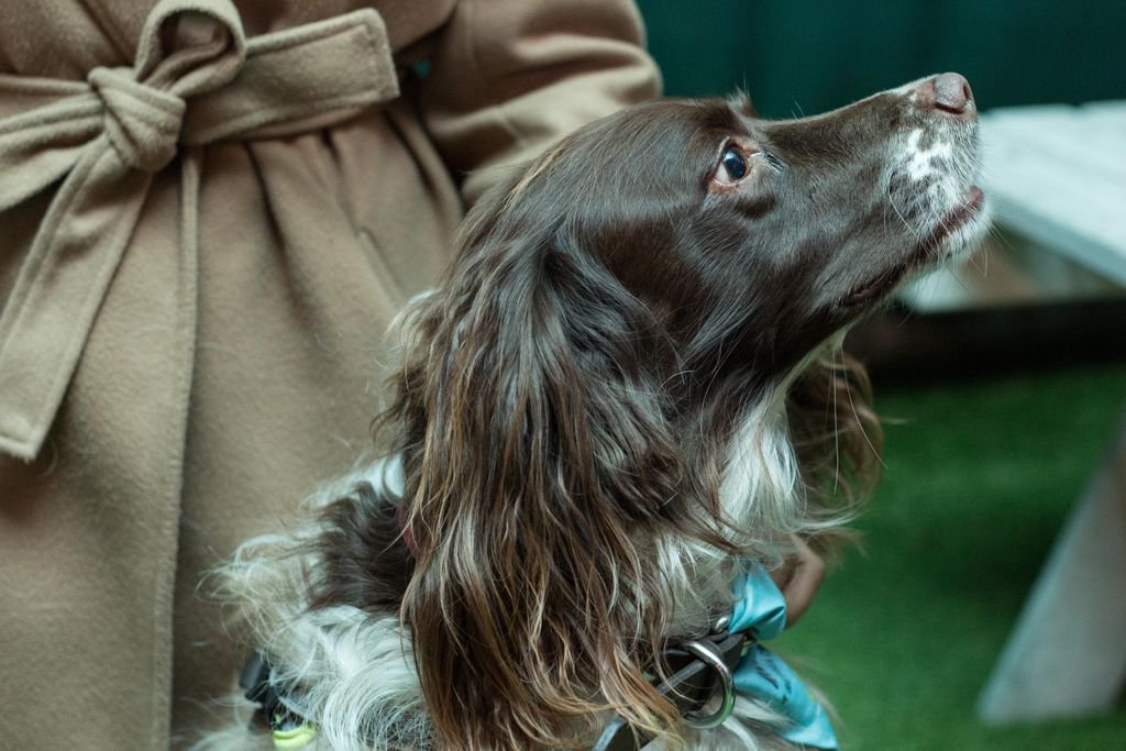 Just a little present for a sweet Saturday 😍 
📸 : Emily Bowden Photography