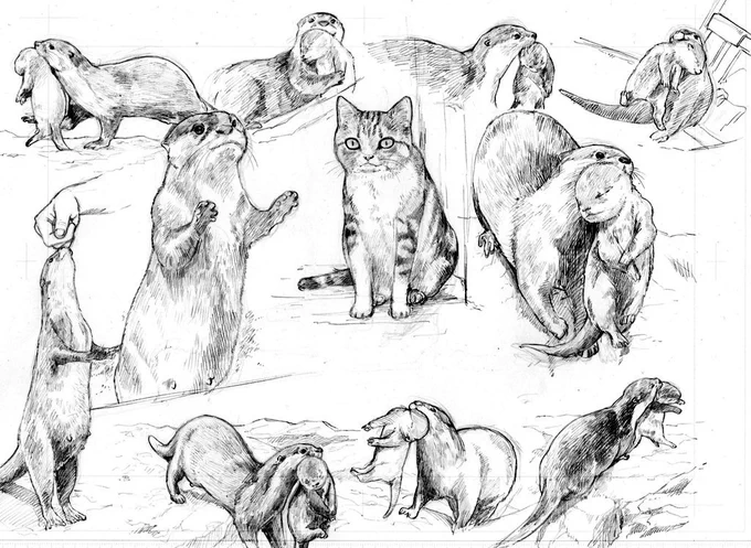 いろんな動物を描こうと思ったのにカワウソ描くの楽しくなっちゃって、カワウソに囲まれてしまった猫 