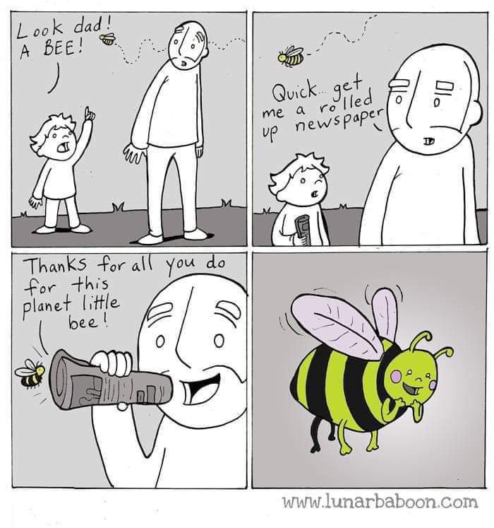WildlifeTrusts's tweet photo. 🐝💛 https://t.co/18jq50edLJ