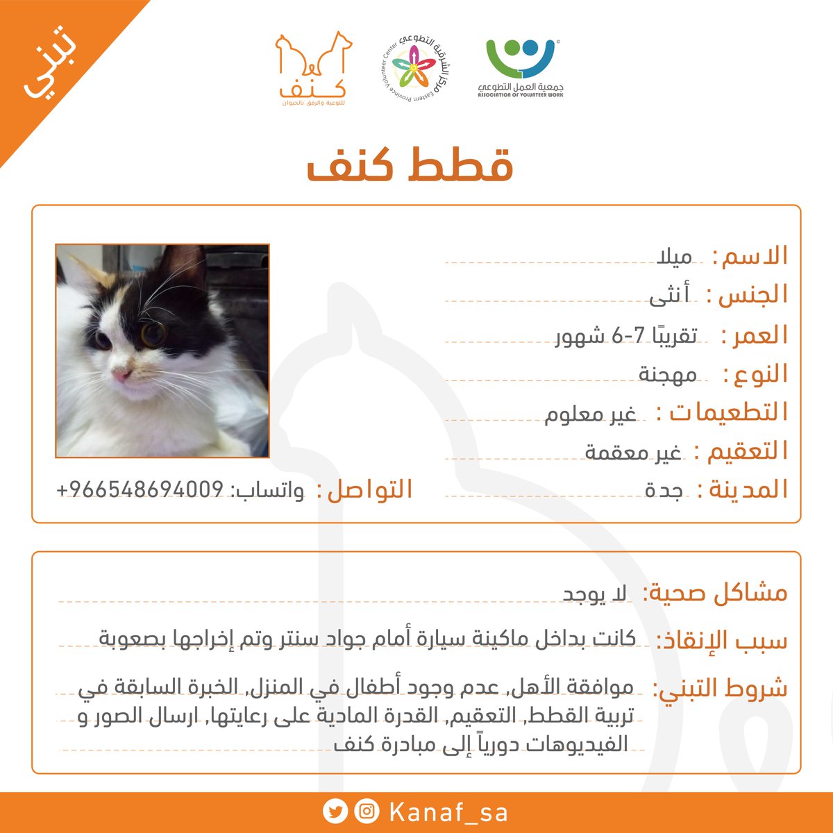 مبادرة كنف tweet media