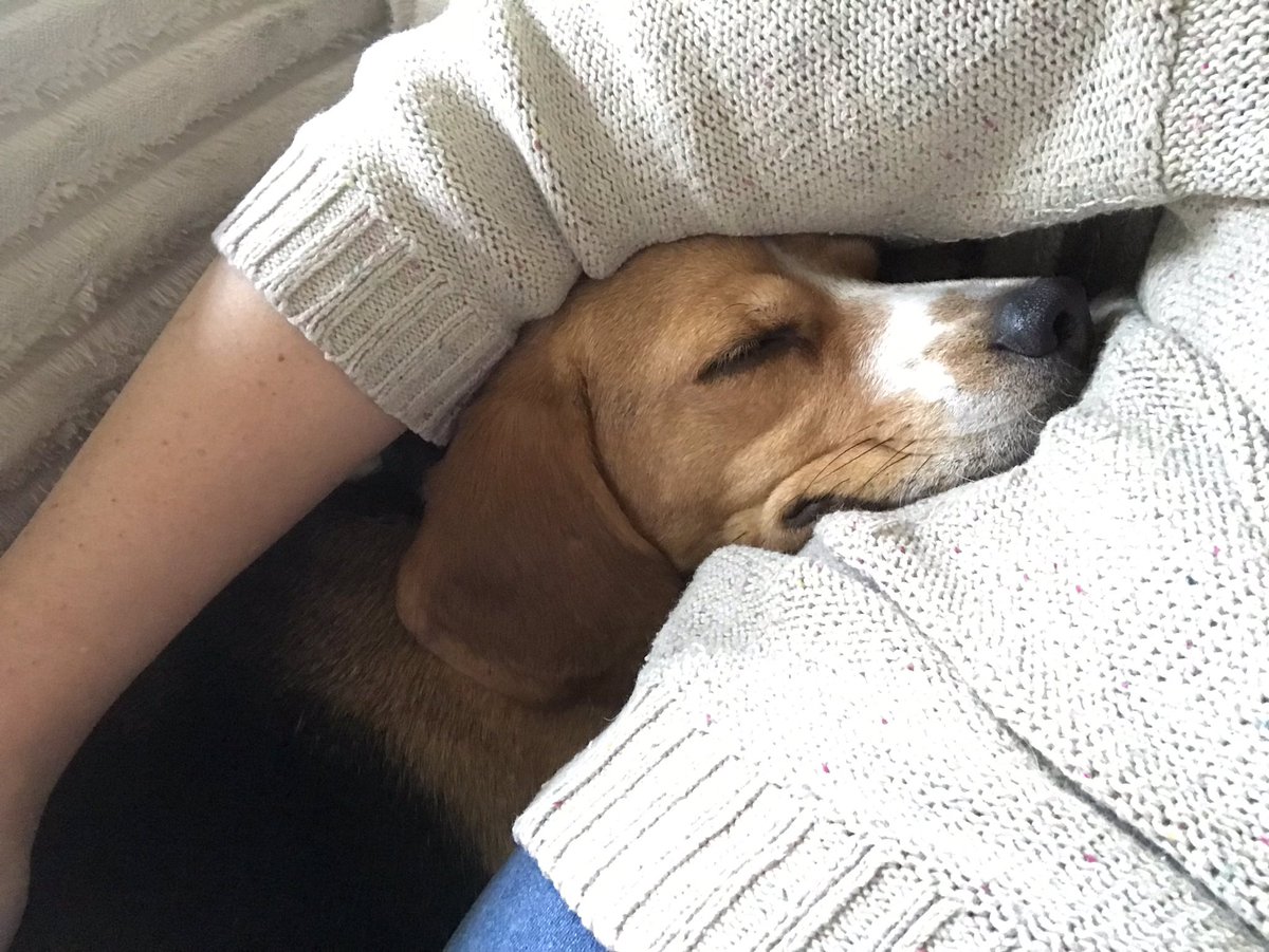 Lazy Saturdays 💕 #enzo #happy